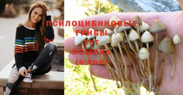 прущая мука Алексеевка